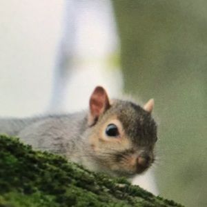 Meet your Posher, Brett